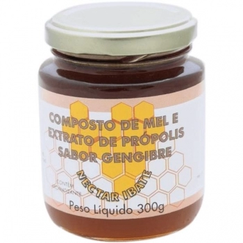 MEL, PROPOLIS E GENGIBRE POTE 300G